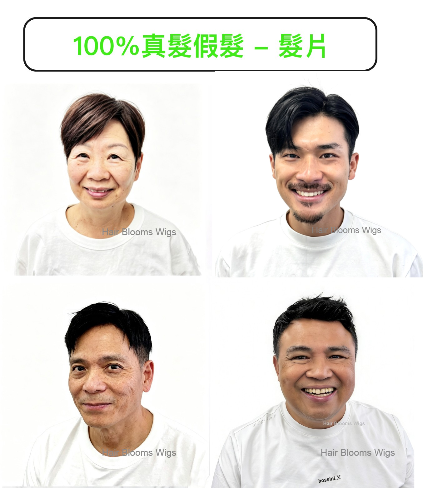 banner101cn.jpg