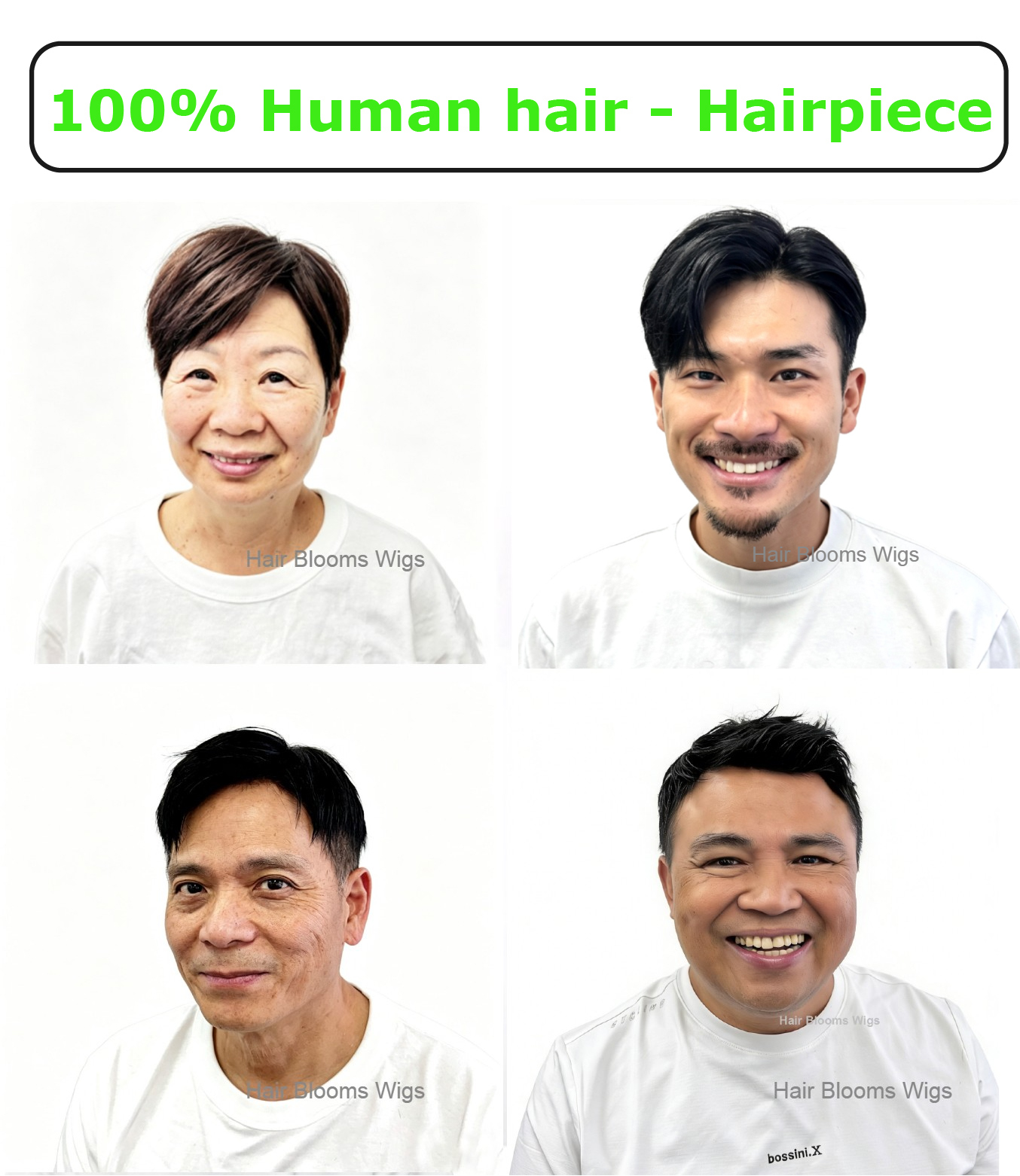 banner101cn.jpg